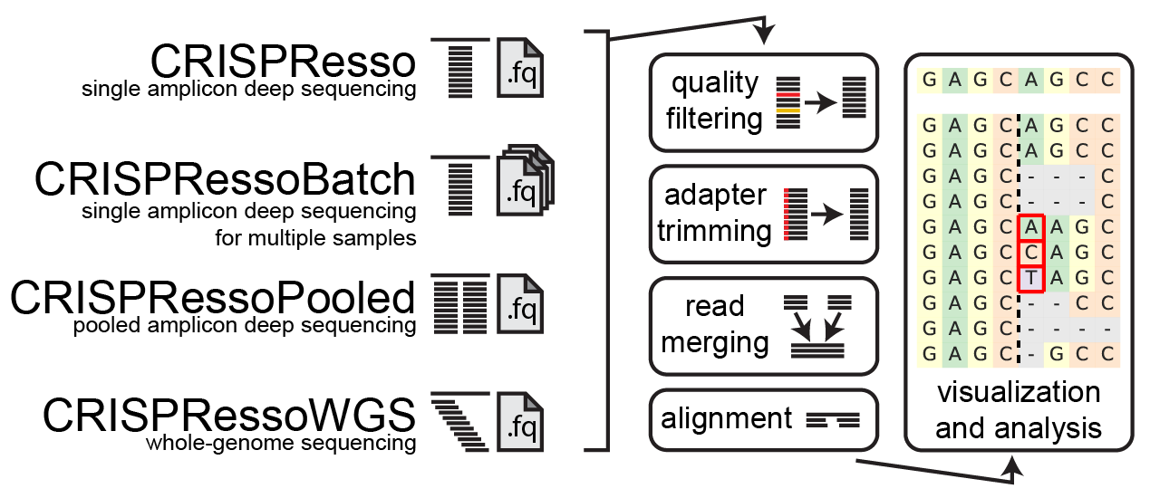 CRISPResso Schematic CRISPResso Schematic